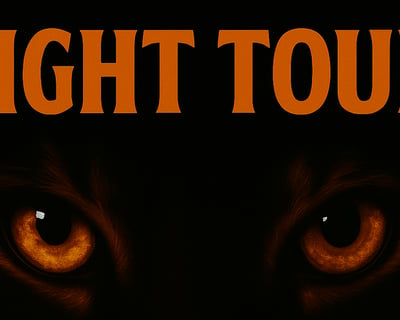 Mountain Home Night Wildlife Tour