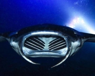 Sunset Manta Ray Charter in Kawaihae