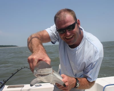 3 Hour Shark Fishing Charter in Hilton Head