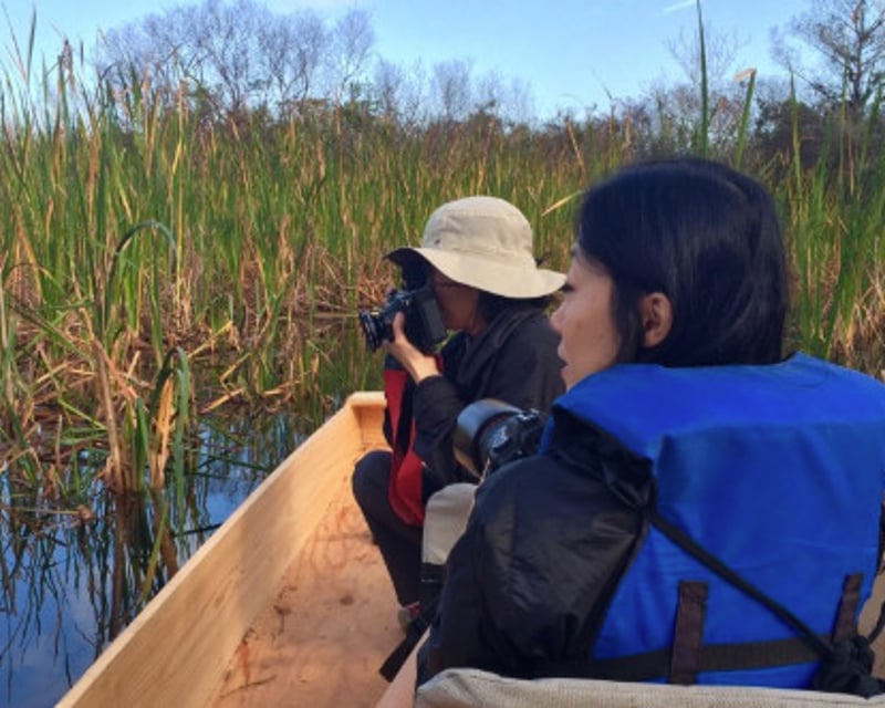 Everglades Photography Tour