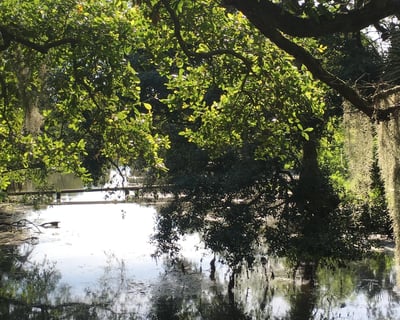 New Orleans Swamp Monsters Tour