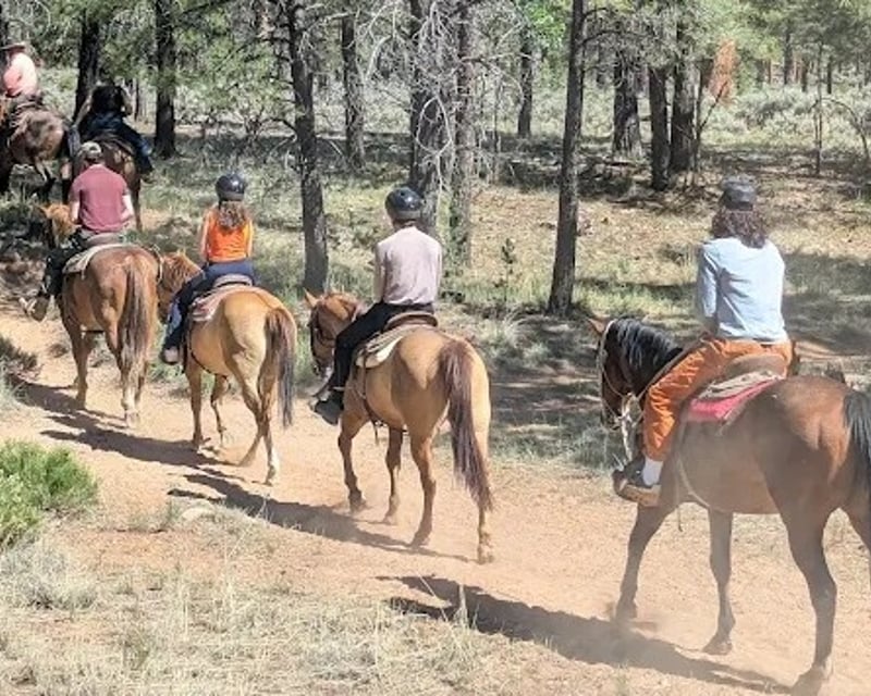 Kid-Friendly Horseback Trail Ride near Grand Canyon