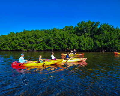 Explore Turtle Beach Waters by Kayak or SUP