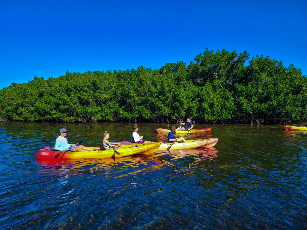 Explore Turtle Beach Waters by Kayak or SUP