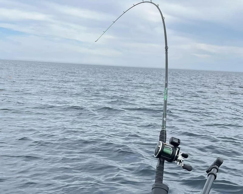 Salmon & Lake Trout Fishing Charter from Eagle Harbor