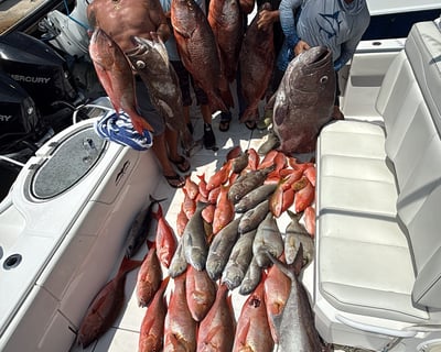 Pulley Ridge Deep Drop Fishing Charter