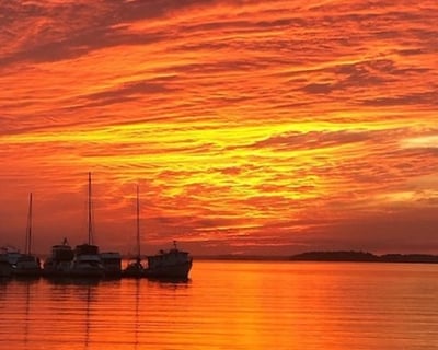 Sunset Dolphin Cruise in Folly Beach