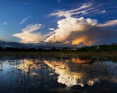 Nighttime Airboat Tour in Weston
