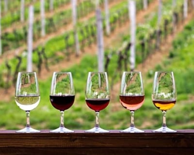 Take a Wine Tasting & Helicopter Tour Near Lake Lure
