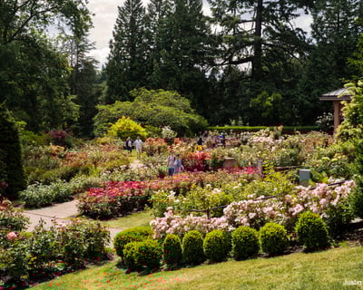 Half Day Portland City Tour with Rose Garden