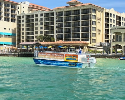 90-Minute Dolphin & Sightseeing Cruise In Clearwater