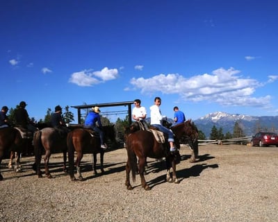 1-Hour Horseback Trail Ride Near Yellowstone