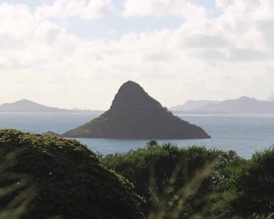 Explore Oahu on a 6-Hour Circle Island Tour