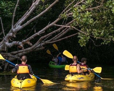 Bioluminescent Kayak Tour in Laguna Grande