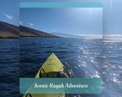 Olowalu Reef 3-Hour Pedal Kayak Tour