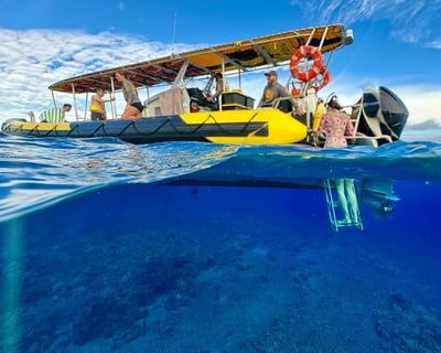 5-Hour Molokini & Turtle Tour