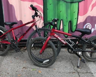 Kids Mountain Bike Rental (20" or 24" Wheels)