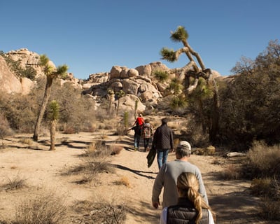 Private Joshua Tree Tour with Picnic & Transport