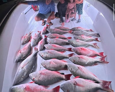 Florida Keys Night Fishing Charter