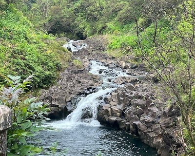 Regenerative Maui Guided Tour