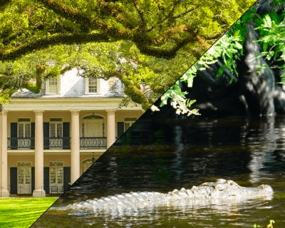 Oak Alley Plantation & Covered Swamp Boat Tour
