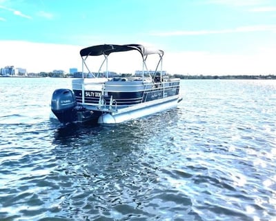 Palmetto Pontoon Boat Rental with Sandbar Access