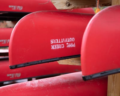 Full-Day Canoe Rental In Wellsboro
