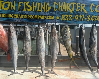 Galveston King Fish Charter
