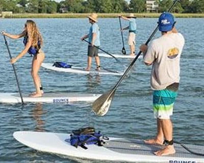 Paddleboard Dolphin Safari Tour In Folly Beach