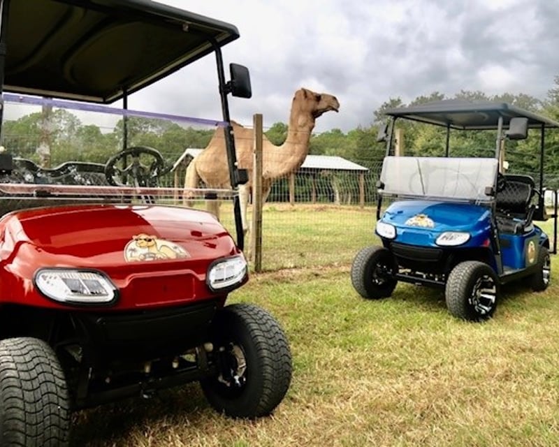 Street-Legal Gas Golf Cart Rental in Welaka