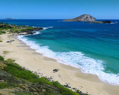 Oahu East Coast Tour: Lookouts & Beaches (4Hr)