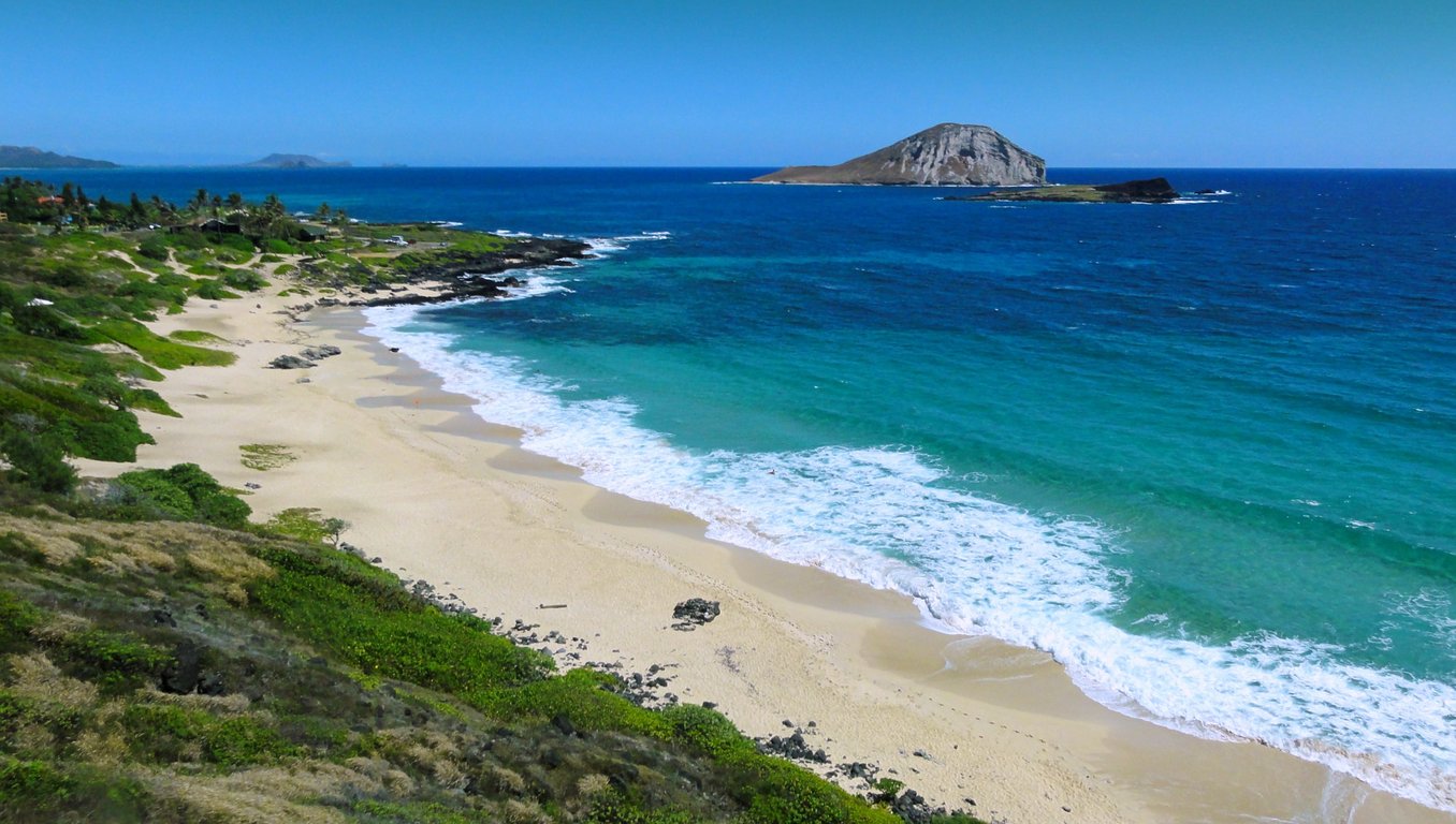 Oahu East Coast Tour: Lookouts & Beaches (4Hr)
