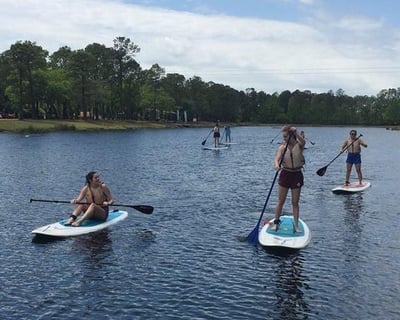 Paddleboard Dolphin Safari Tour In Folly Beach