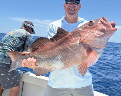 Deep Sea Fishing Charter Sarasota Private Boat