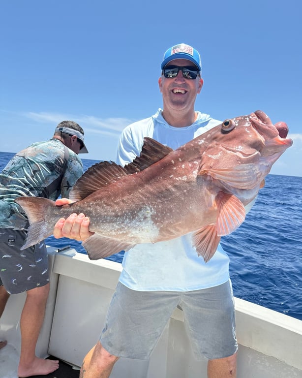 Deep Sea Fishing Charter Sarasota Private Boat