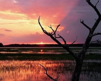 Sunset Dolphin Cruise in Hilton Head Island