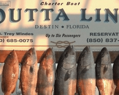 Destin 14+ Hour Deep Sea Fishing Charter