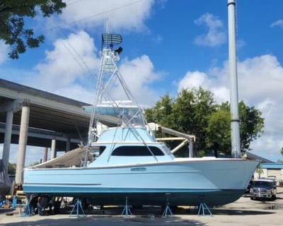 8-Hour Deep Sea Fishing Charter In The Keys