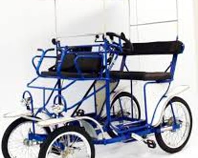 Surrey Bike Rental in Long Beach Island