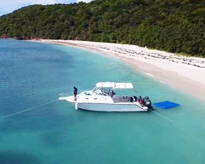 Fajardo Full-Day Snorkeling Charter