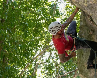 2.5-Hour Lead Climbing Session in Vega Baja
