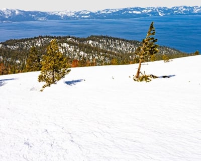 Guided 2-Hour Snowmobile Tour in Zephyr Cove