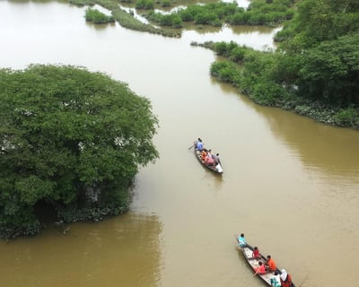 Swamp Tour • Small Airboat Ride