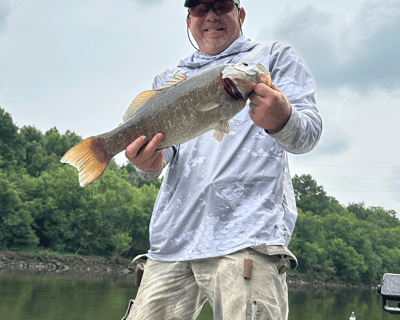 Nashville Bass Fishing: 4-Hour Guided Charter