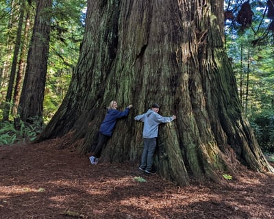 Prairie Creek Redwoods Guided Hike
