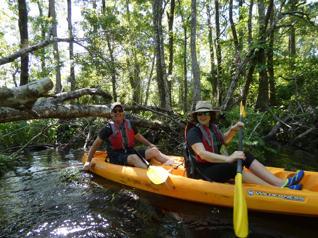 Orlando Kayak Tour on Secluded Blackwater Creek