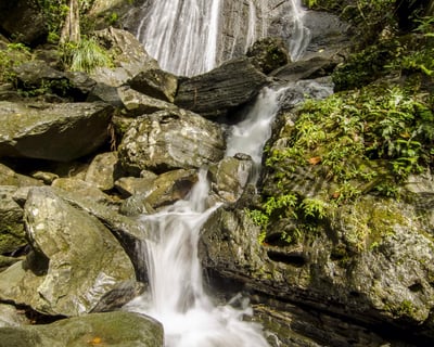 Guided El Yunque Hike & Nighttime Bio Bay Kayak Tour