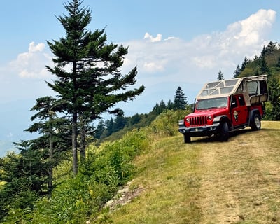 Guided Safari Jeep Tour with Mile-High Views