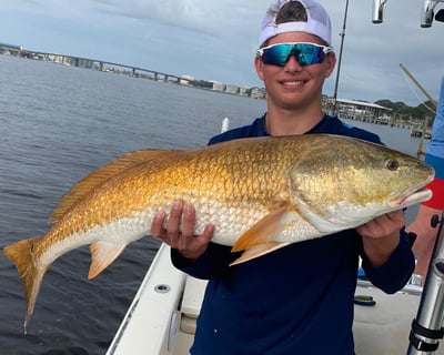 4-Hour Inshore Fishing Charter in Destin