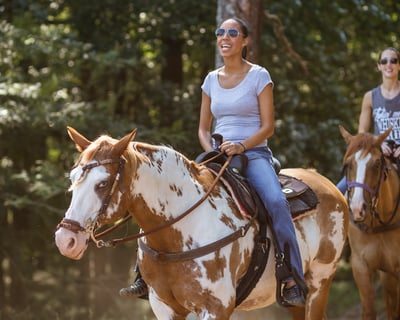 Guided Horseback Ride in Madison